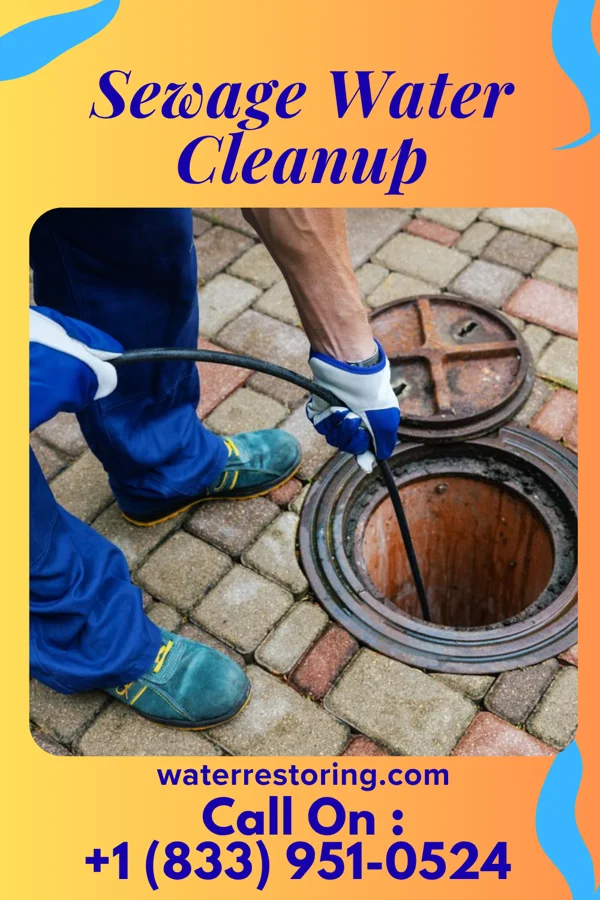Sewage Water Cleanup in Northome, MN