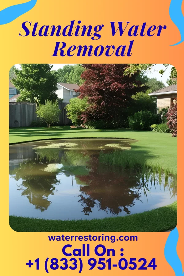 Standing Water Removal in Northome, MN